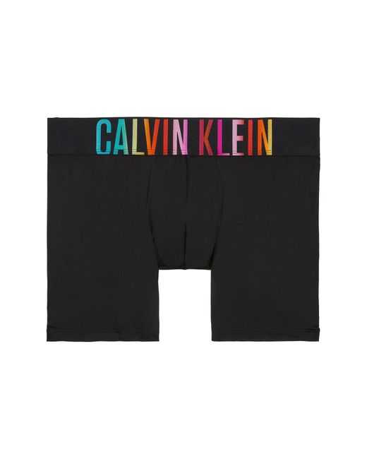 Calvin Klein Blue Intense Power Pride Microfiber Boxer Briefs for men