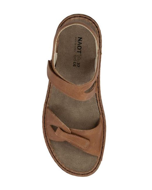 Naot Brown Evora Sandal