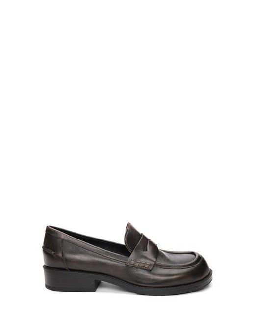 Ash Black Ringo Penny Loafer
