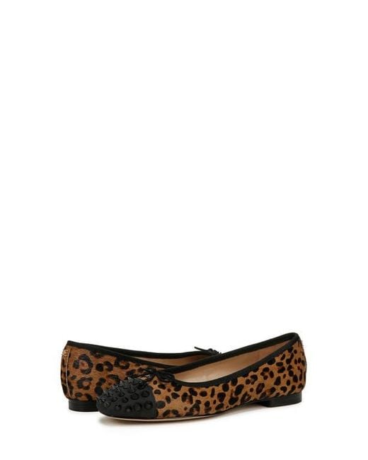 Sam Edelman Brown Monet Cap Toe Ballet Flat