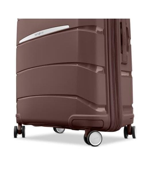 Samsonite Brown Outline Pro Medium Spinner
