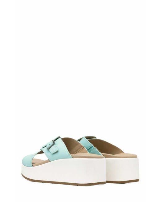 ABEO Blue Solstice Cross Slide