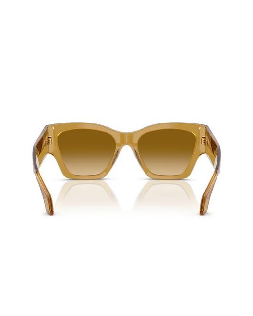 Versace Natural 53Mm Cat Eye Sunglasses