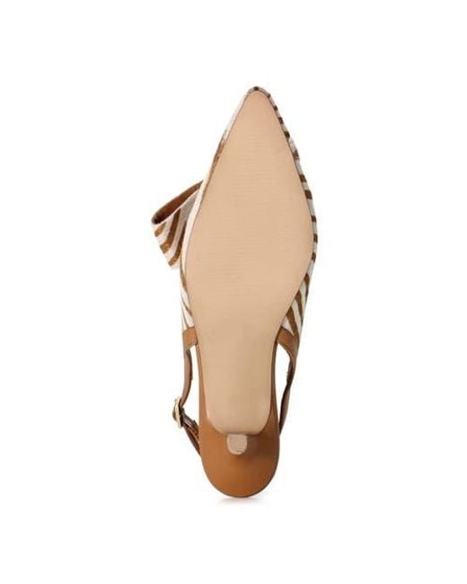 Diba True Brown Settle Down Slingback Pump