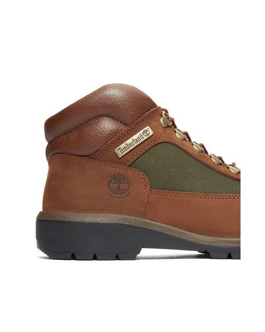 Timberland Brown Field Waterproof Boot for men