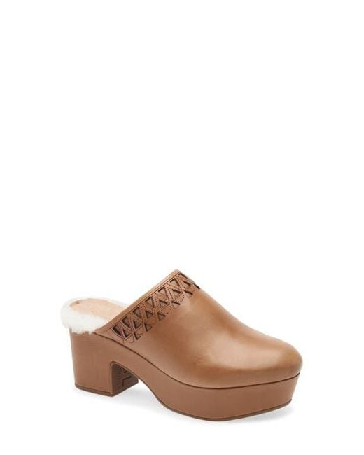 Chocolat Blu Brown Gannet Platform Clog