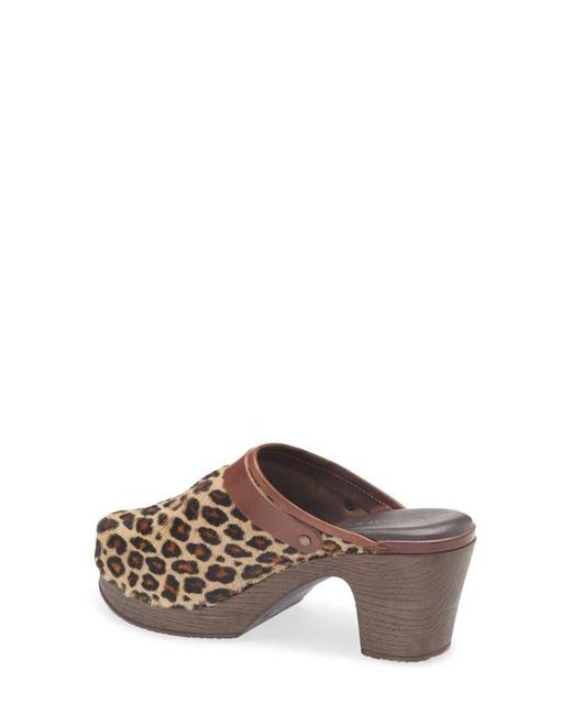 Chocolat Blu Brown Faro Genuine Calf Hair Platform Mule