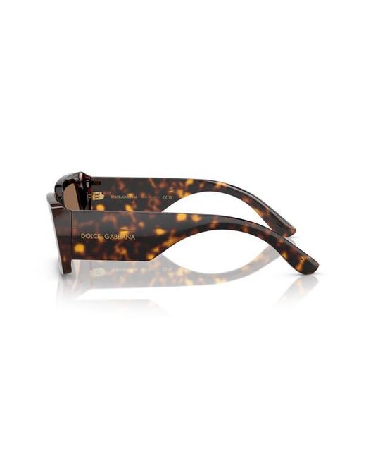 Dolce & Gabbana Brown 53Mm Rectangular Sunglasses