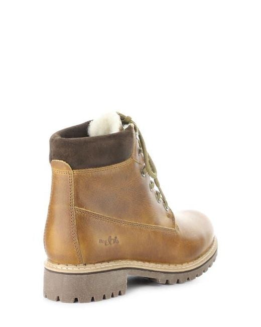 Bos. & Co. Brown Hartt Waterproof Boot