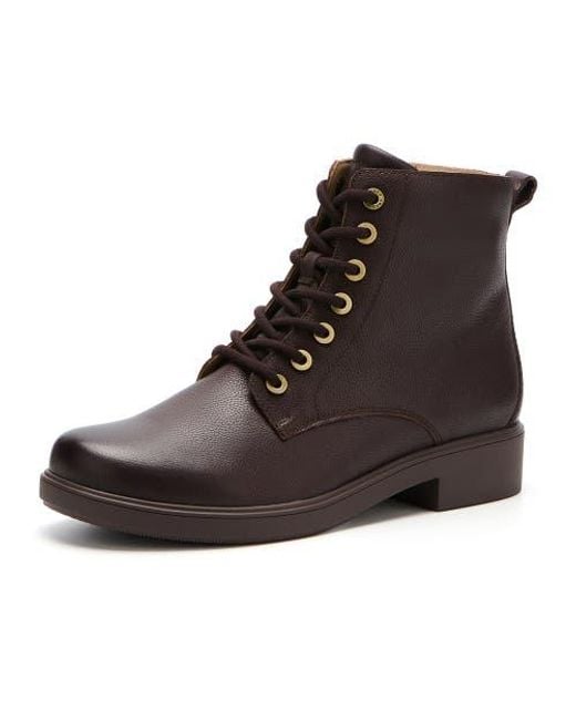 ABEO Brown Compass Lace Boots