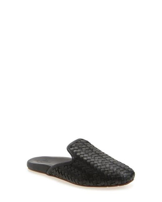 Olukai Black Mii Mule
