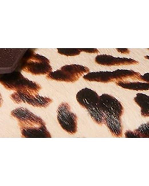 Kate Spade Brown Deco Bow Downtown Flat