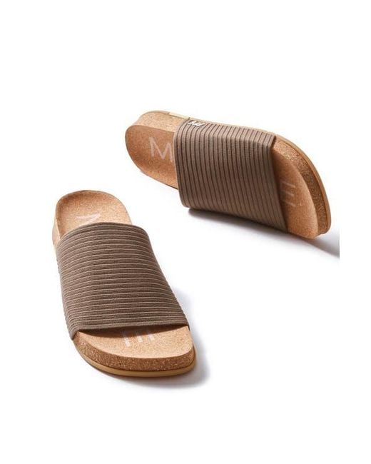 Message Multicolor Shaw Slide