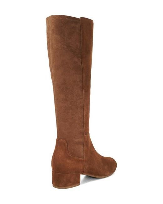 Dune Brown Tayla Knee High Boot