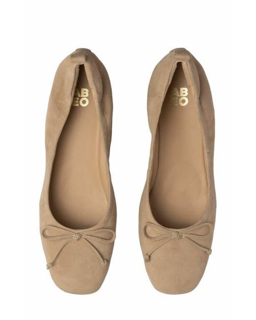 ABEO White Cadence Bow Ballet Flat