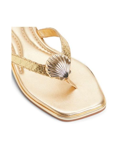 ALDO Brown Conchiglia Flip Flop