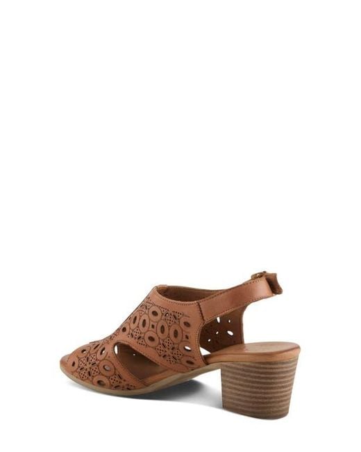 Spring Step Brown Kovach Slingback Sandal
