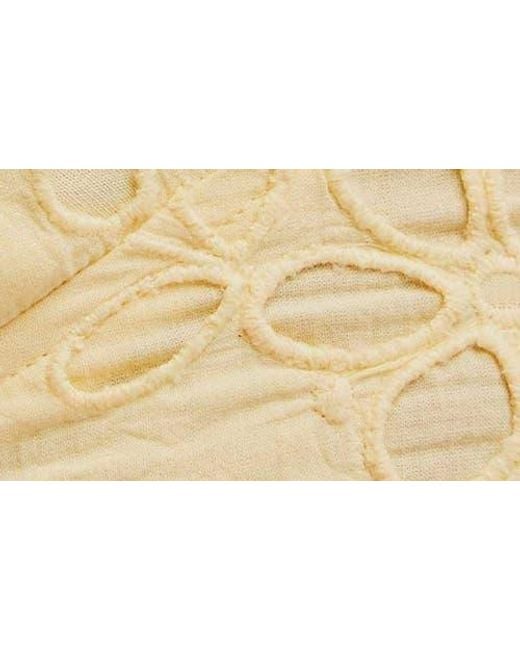 Free People Green Intimately Fp Asteria Lace Bralette