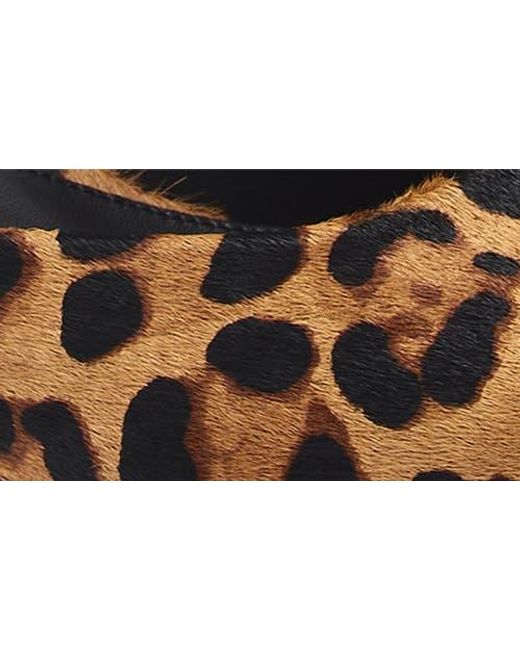 Jeffrey Campbell Multicolor Spy-Kid Slide Sandal