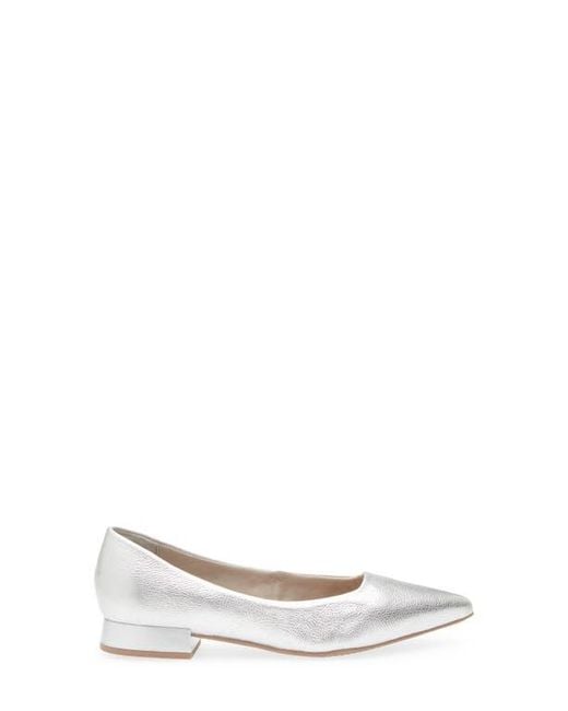 BOTTER White Alessandra Pointed Toe Ballet Flat