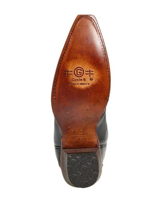 Circle Brown Contrast Embroidery Tall Western Boot