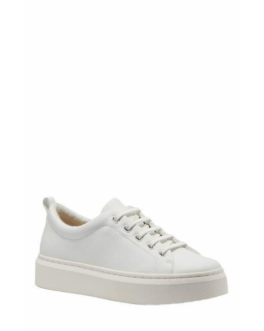 ABEO White Jumpstreet Bungee Sneaker
