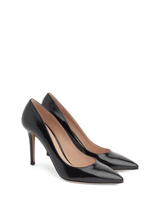 Gianvito Rossi Multicolor Gianvito 85
