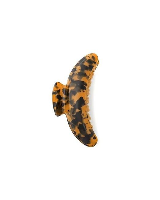 Machete Multicolor Jumbo Heirloom Claw
