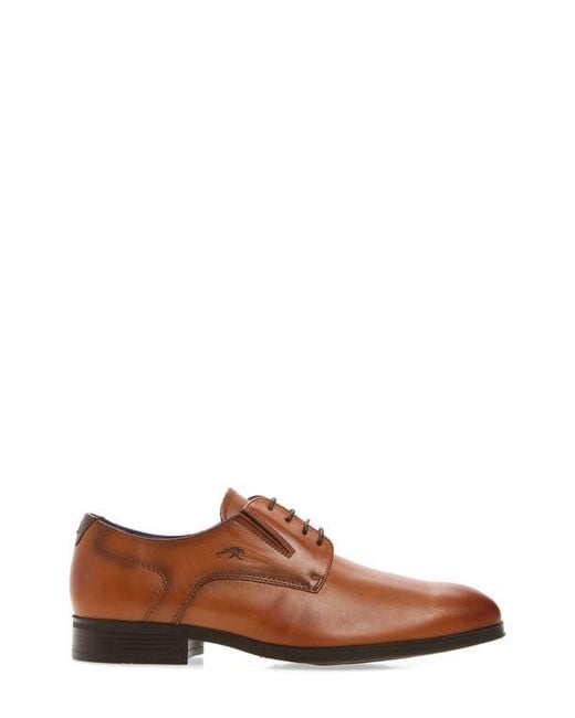 Fluchos Brown Asgard Plain Toe Derby for men