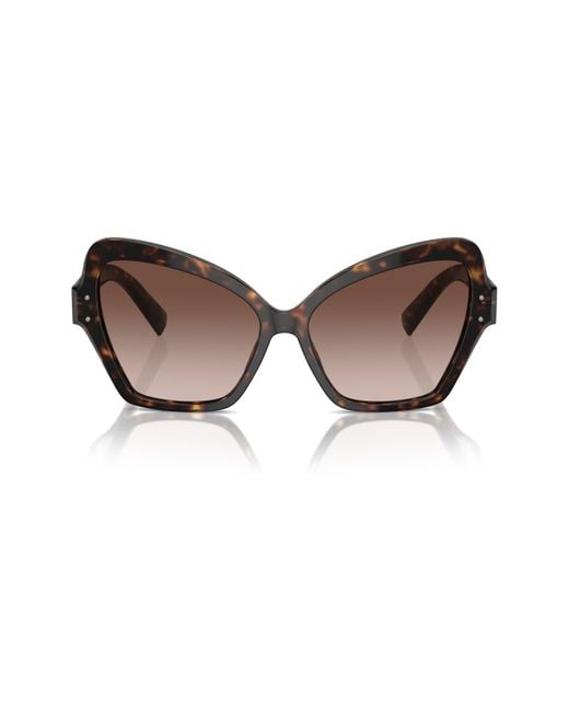 Dolce & Gabbana Brown 56mm Butterfly Polarized Sunglasses for men