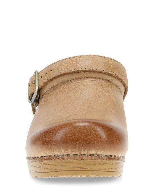Dansko Multicolor Ingrid Clog