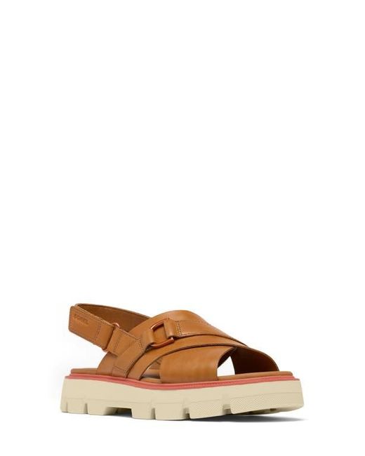 Sorel Brown Rein Cb Crisscross Sandal