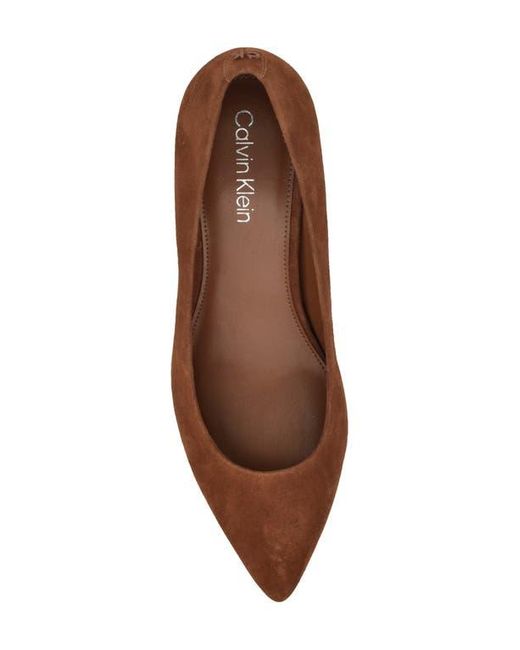 Calvin Klein Brown Lenott Pointed Toe Pump
