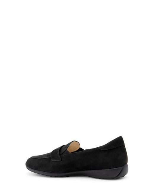 Amalfi by Rangoni Black Jill Loafer