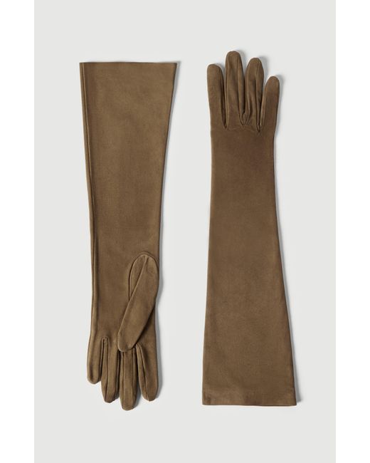 Brunello Cucinelli Brown Suede Long Gloves