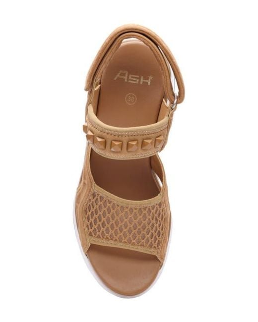 Ash Brown Diva Slingback Platform Sandal