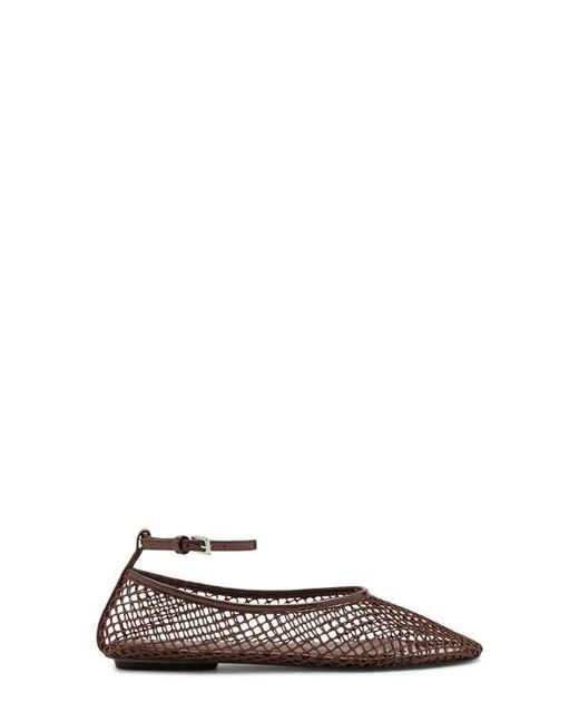 Mango Brown Ankle Strap Ballet Flat