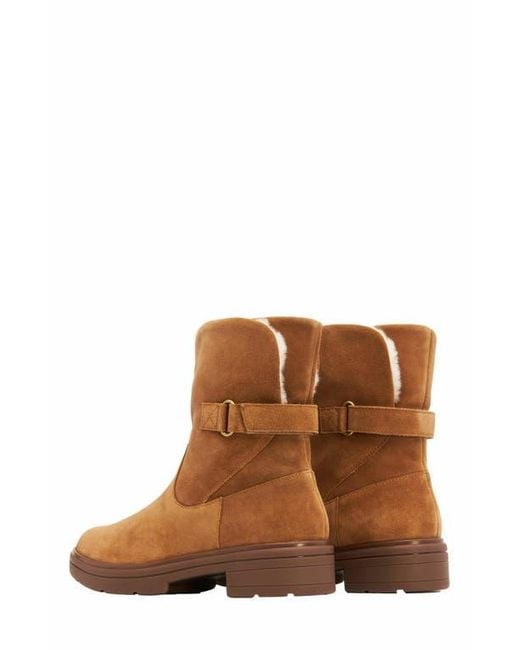 ABEO Brown Vista Mid Boot