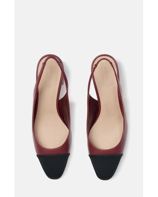 Scarosso Multicolor Miranda Pumps
