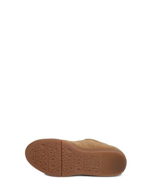Saydo Brown Zelk Sneaker