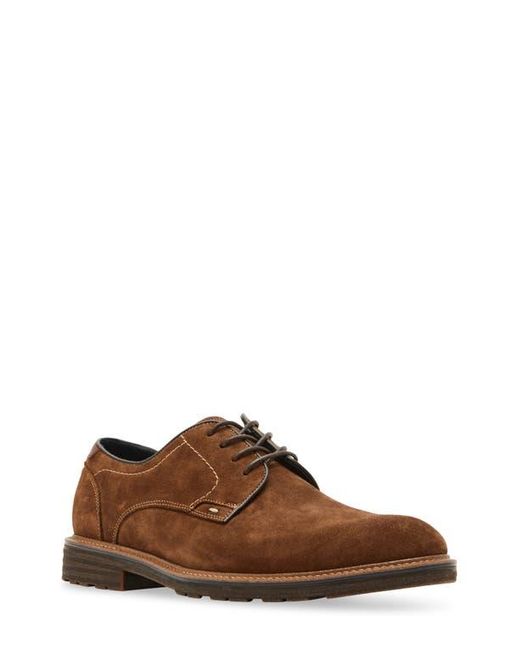 Steve Madden Brown Aeden Derby for men