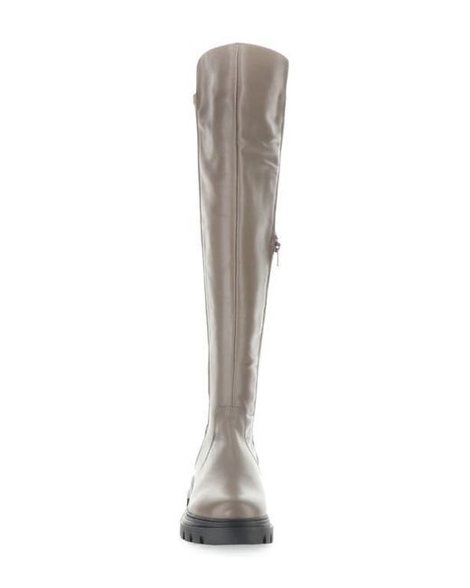 Bos. & Co. Brown Fifth Waterproof Knee High Boot