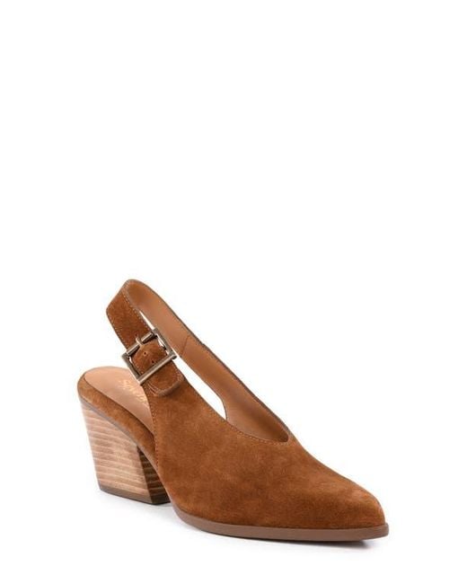 Seychelles Brown Baby Faced Slingback Pump