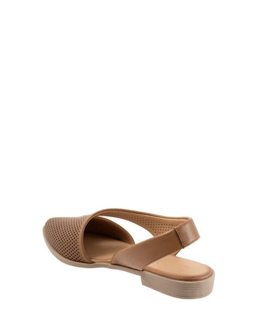 BUENO Brown Bianca Perf Slingback Pointed Toe Flat