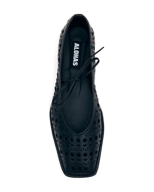 Alohas Blue Sway Ballet Flat