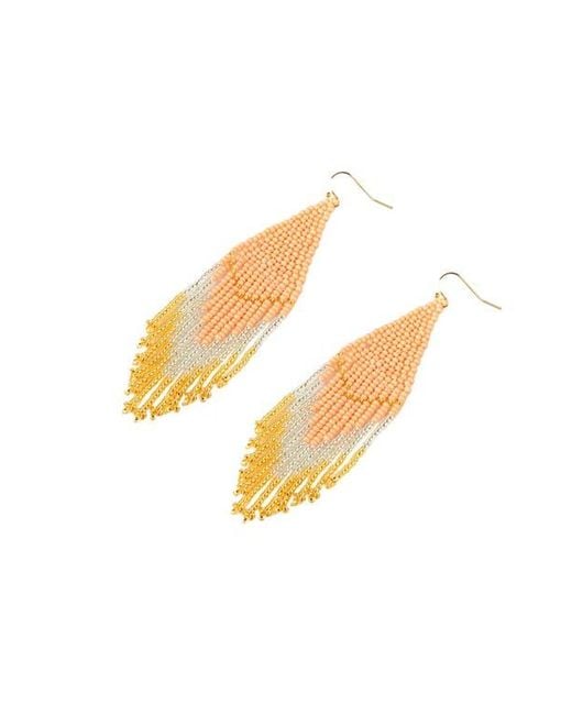 Fosterie Black Earrings