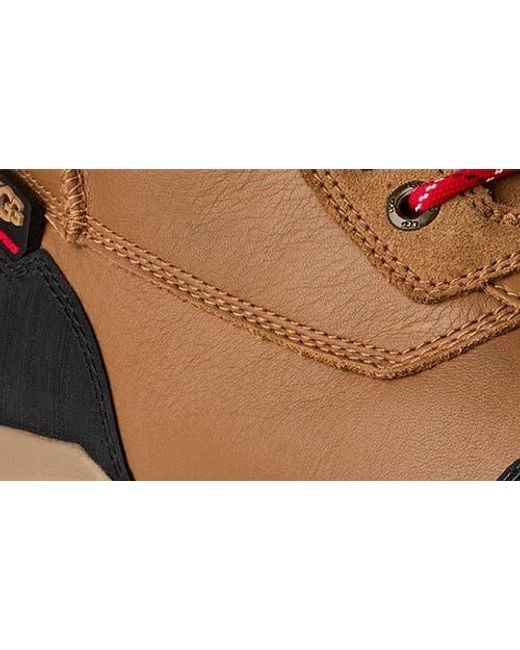 Ugg Brown Adirondack Xxv Waterproof Boot