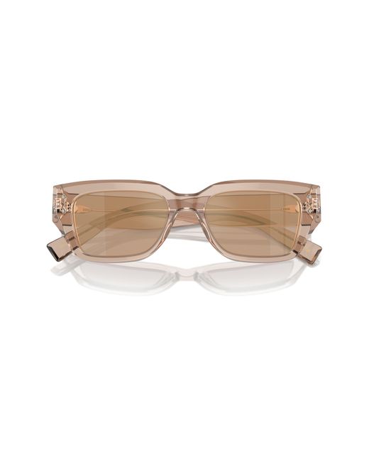 Dolce & Gabbana Natural 52mm Cat Eye Sunglasses for men