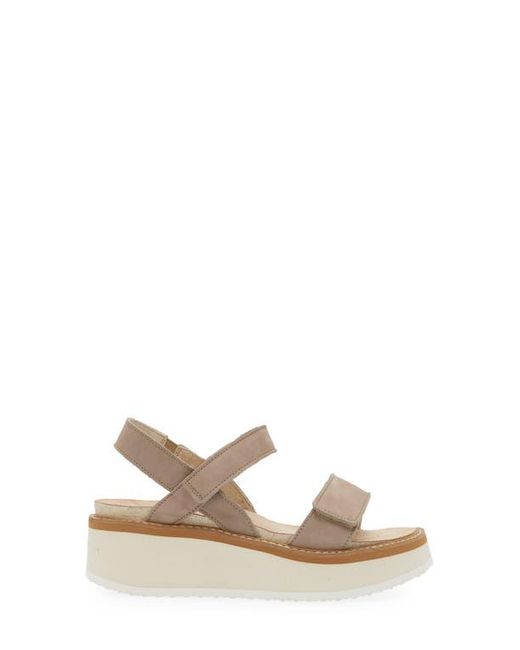 Naot Natural Meringue Wedge Sandal