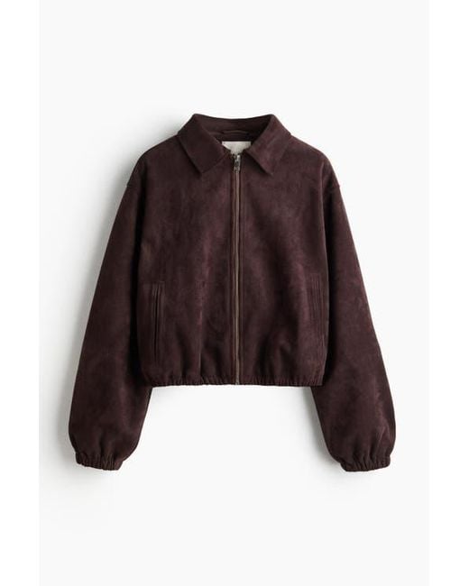 H&M Brown Collared Jacket